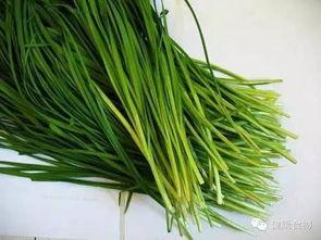 原神最新爆料韭菜,神秘韭菜助力角色成长,探索游戏新玩法 第1张 原神最新爆料韭菜,神秘韭菜助力角色成长,探索游戏新玩法 第1张