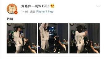 娱乐圈吃瓜爆料二次元,二次元吃瓜爆料大揭秘